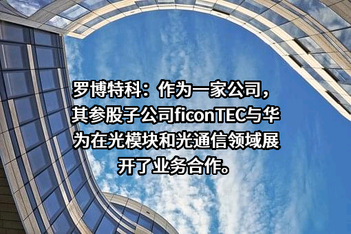 华为技术有限公司