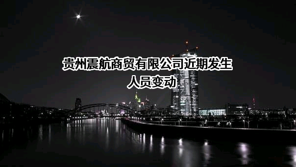 贵州震航商贸有限公司