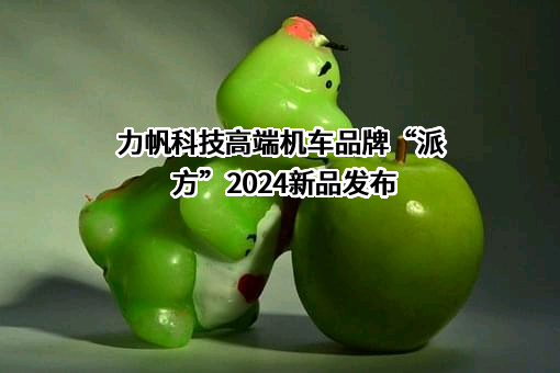 力帆科技（集团）股份有限公司