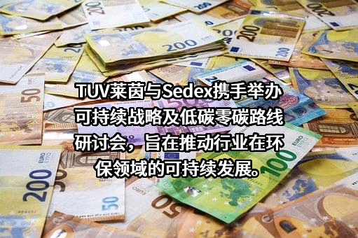 莱茵检测认证服务（中国）有限公司