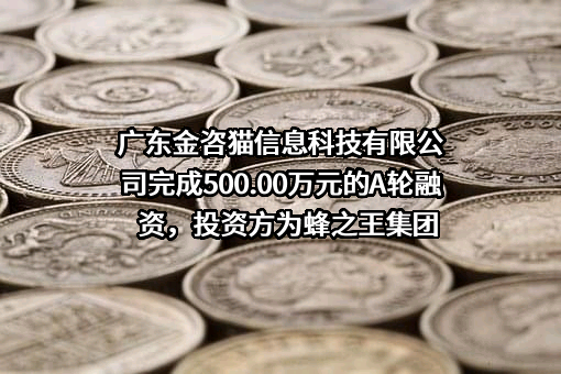 广东金咨猫信息科技有限公司