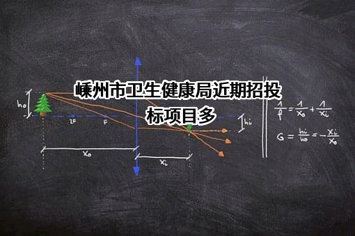 嵊州市卫生健康局近期招投标项目多