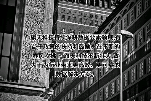 旗天科技集团股份有限公司