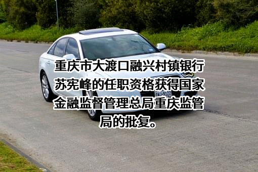 重庆市大渡口融兴村镇银行有限责任公司