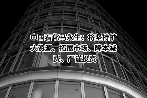 中国石油化工集团有限公司