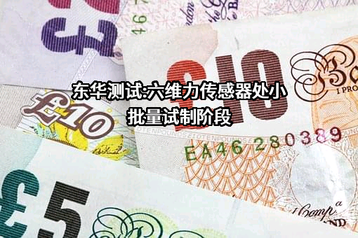 江苏东华测试技术股份有限公司