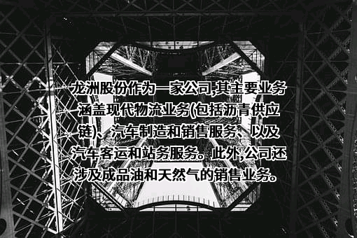 龙洲集团股份有限公司