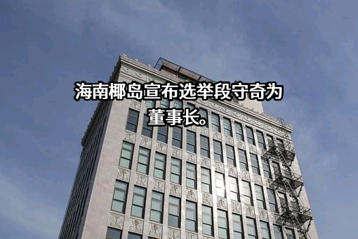 海南椰岛（集团）股份有限公司