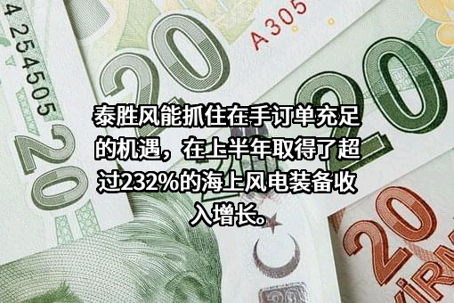 上海泰胜风能装备股份有限公司