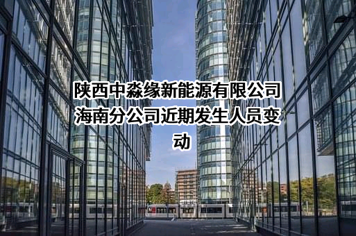 陕西中淼缘新能源有限公司海南分公司