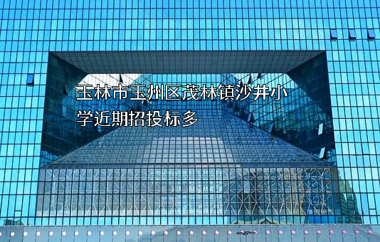 玉林市玉州区茂林镇沙井小学近期招投标项目多