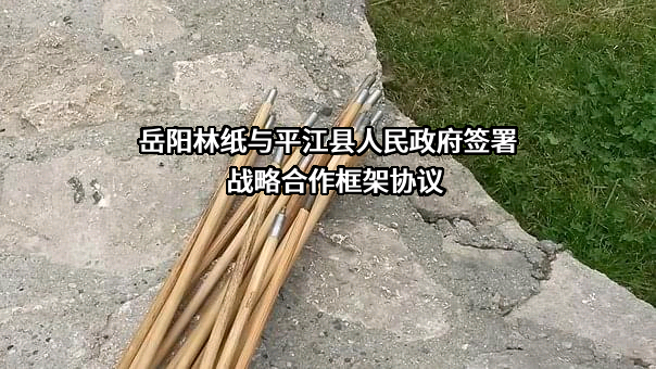 岳阳林纸股份有限公司