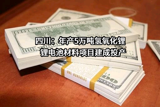 雅保四川新材料有限公司