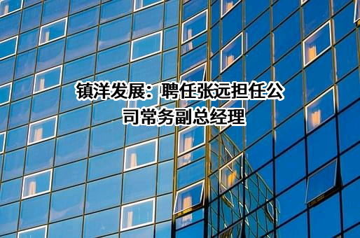 镇洋发展：聘任张远担任公司常务副总经理