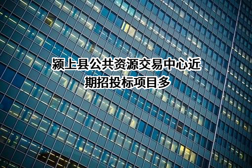 颍上县公共资源交易中心近期招投标项目多