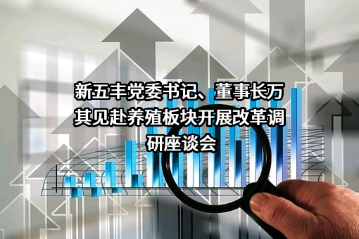 湖南新五丰股份有限公司