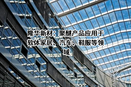 山东隆华新材料股份有限公司