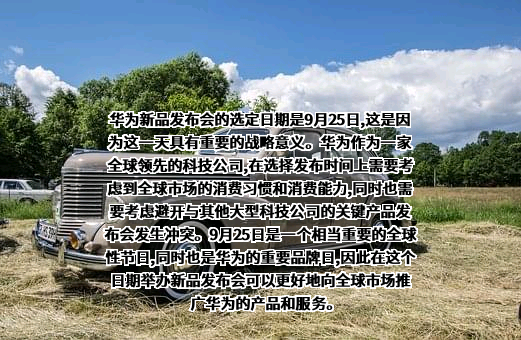华为技术有限公司