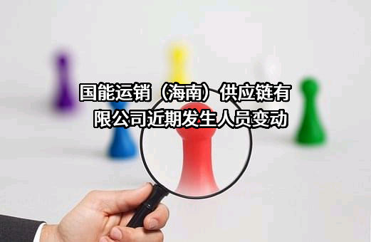 国能运销（海南）供应链有限公司