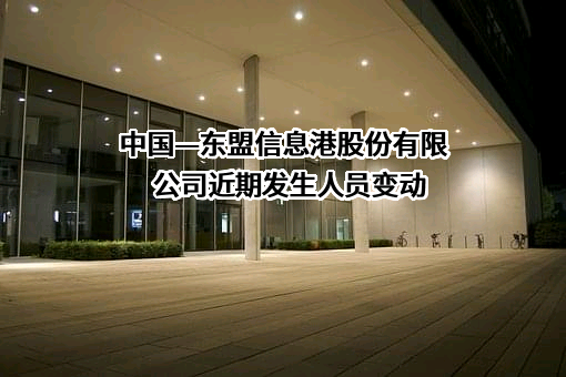 中国—东盟信息港股份有限公司