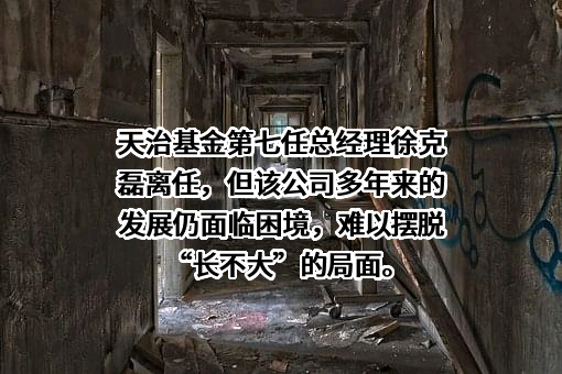 天治基金管理有限公司