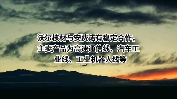 深圳市沃尔核材股份有限公司