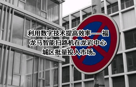 福龙马集团股份有限公司