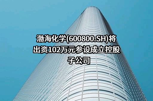天津渤海化学股份有限公司