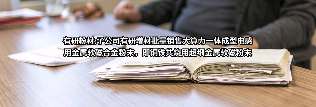 有研粉末新材料股份有限公司