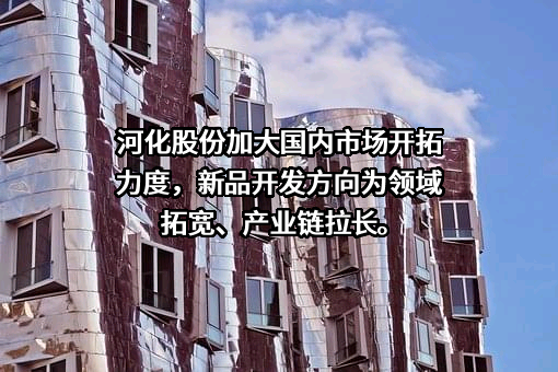 河化股份加大国内市场开拓力度，新品开发方向为领域拓宽、产业链拉长。