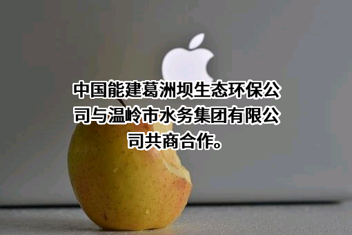 温岭市水务集团有限公司