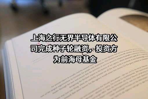 上海之行无界半导体有限公司