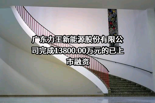 广东力王新能源股份有限公司