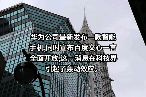 华为技术有限公司