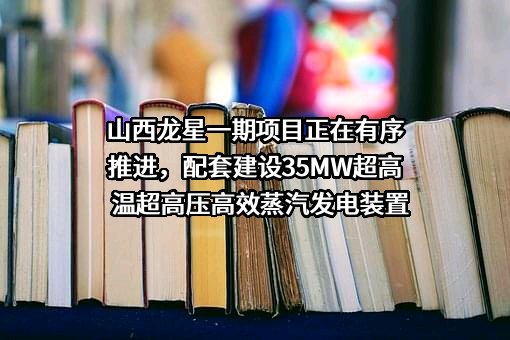 龙星化工股份有限公司