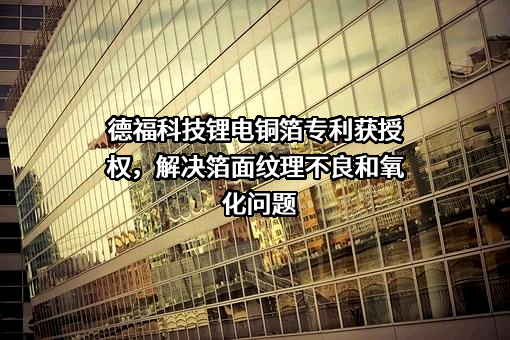 九江德福科技股份有限公司