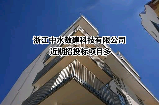 浙江中水数建科技有限公司