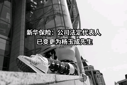 新华人寿保险股份有限公司