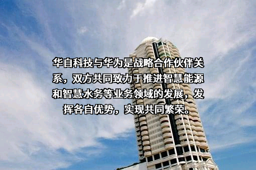 华为技术有限公司