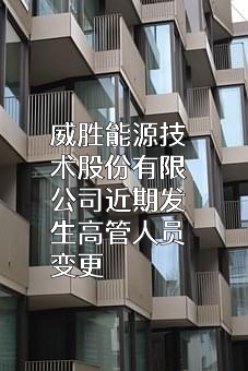 威胜能源技术股份有限公司