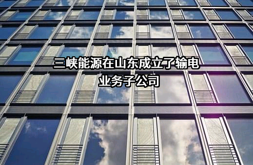 中国三峡新能源（集团）股份有限公司