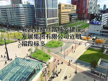 轮台县新丝路城乡建设发展集团有限公司