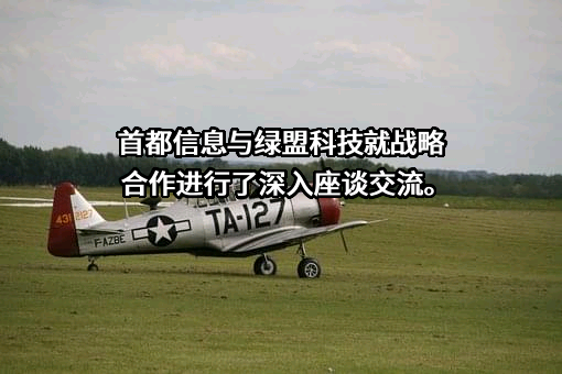 绿盟科技集团股份有限公司