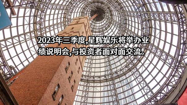星辉互动娱乐股份有限公司