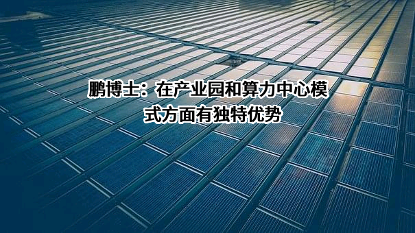 鹏博士电信传媒集团股份有限公司