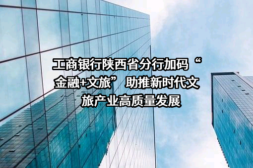 陕西文化产业投资控股（集团）有限公司