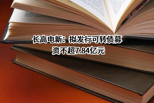 长高电新科技股份公司