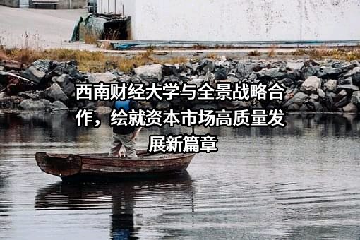 深圳市全景网络有限公司