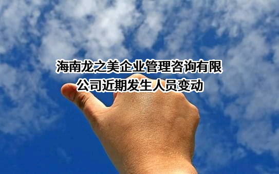 海南龙之美企业管理咨询有限公司