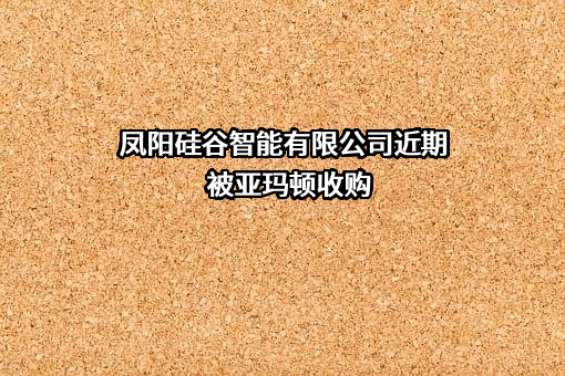 凤阳硅谷智能有限公司